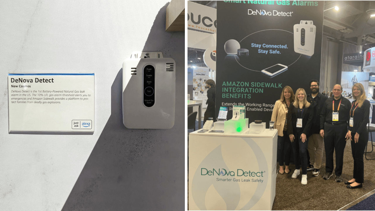 DeNova Detect Natural Gas Alarm 10-Year Battery-operated Natural