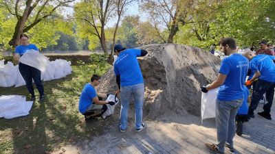 Group of People Working on a Community Project