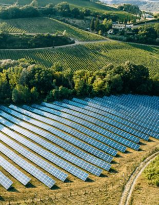 Solar Panels in a Field