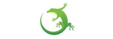 Gecko SDK Logo
