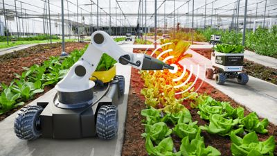 Wi-Fi in Agriculture